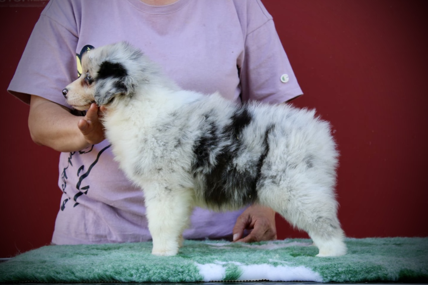 att dOTOhC1QzOLA5AKqAxyBpZgroMV8laG5GoxCWJK sw