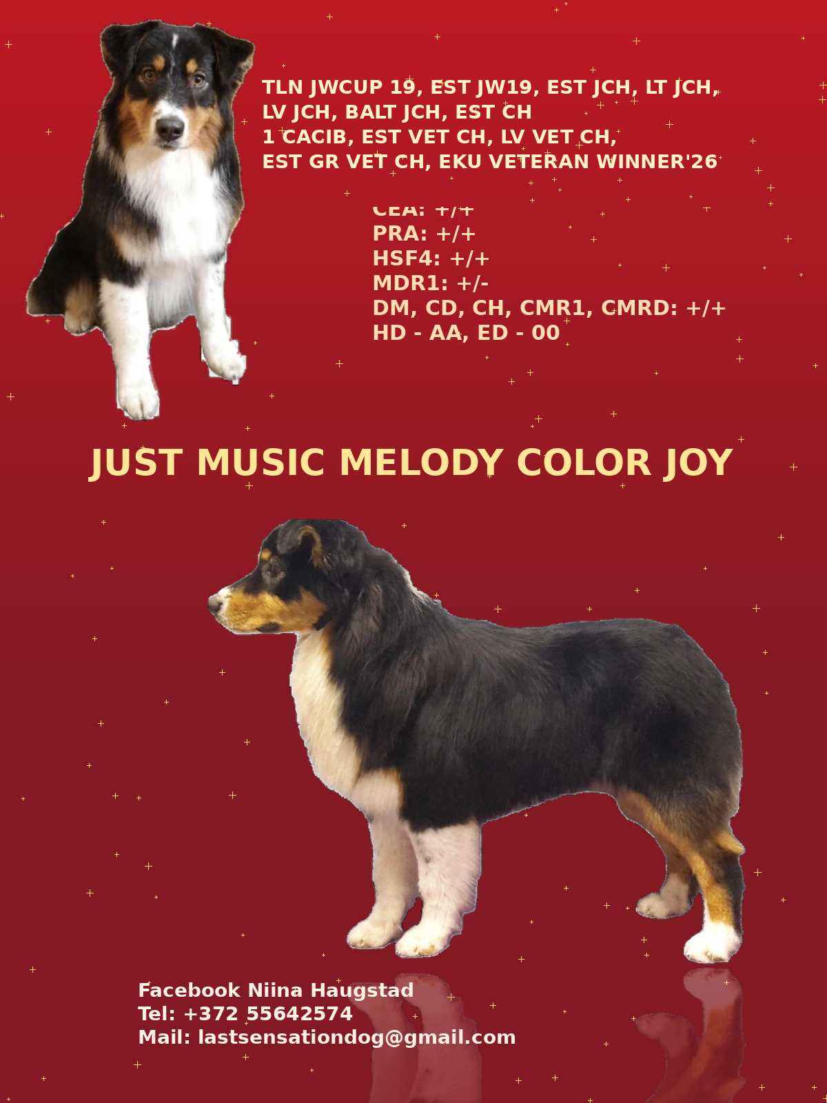 poster eku vet