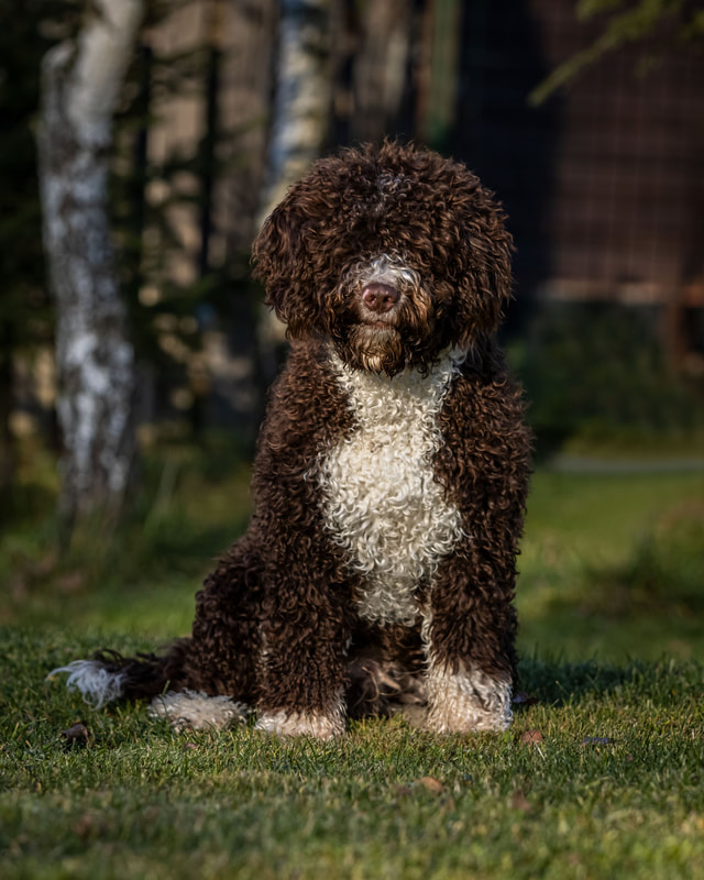 IMG 0914